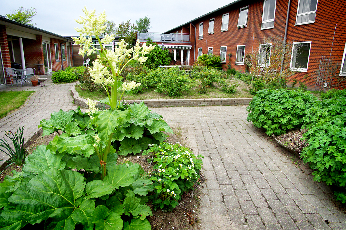 Sansehave på plejehjem i Silkeborg Kommune